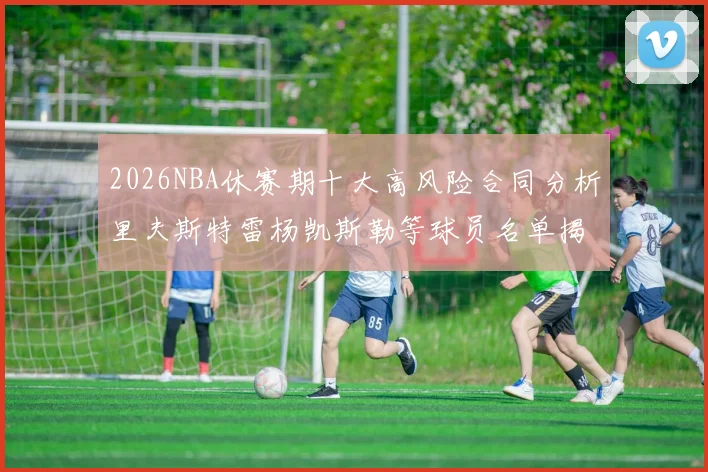 2026NBA休赛期十大高风险合同分析里夫斯特雷杨凯斯勒等球员名单揭秘